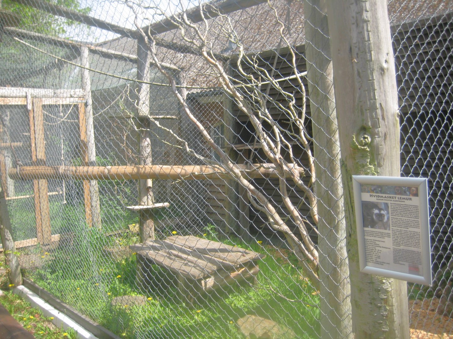 Odsherred Zoo - White-fronted lemur exhibit
