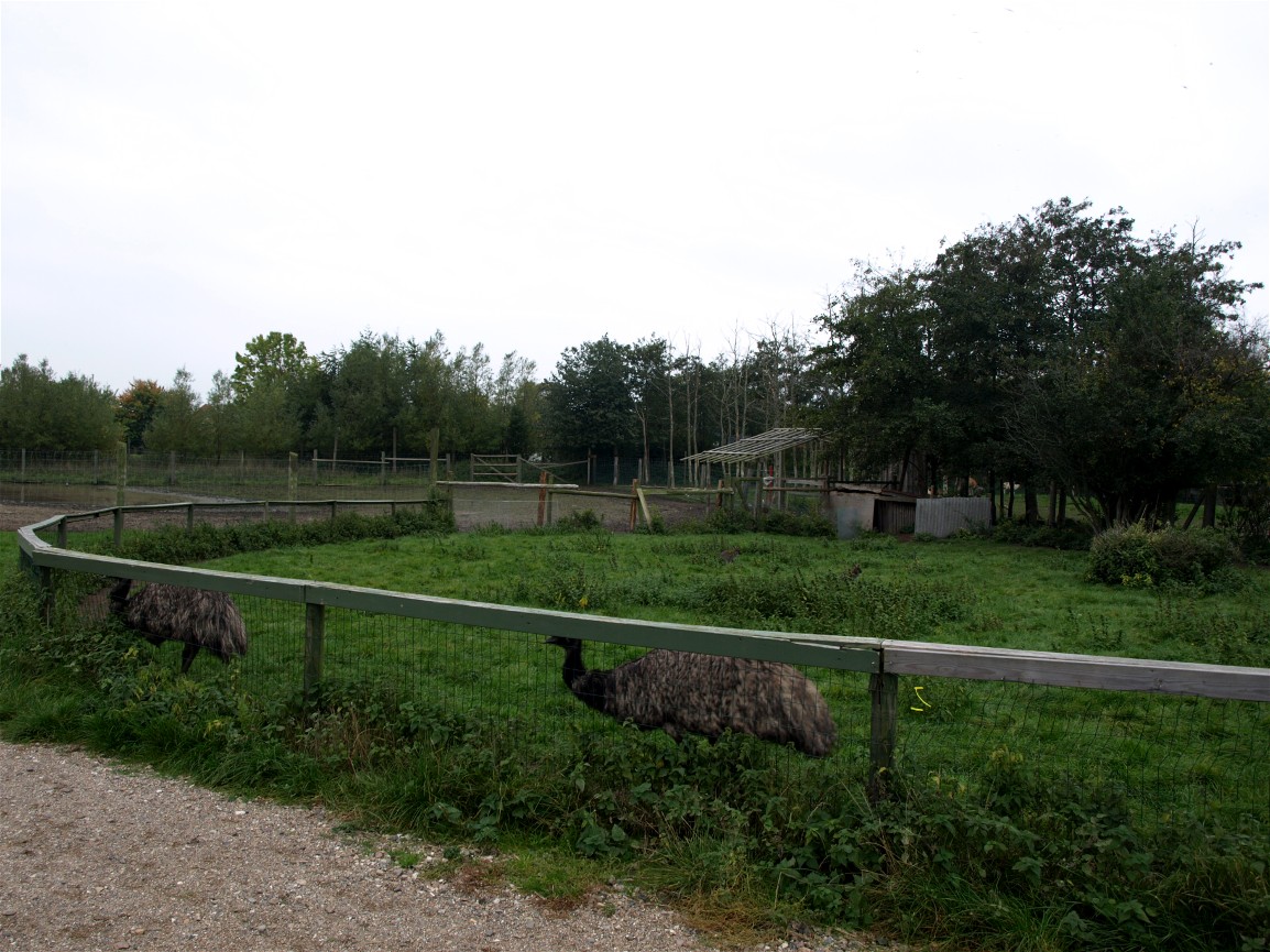 Odsherreds Zoo - Australia enclosure