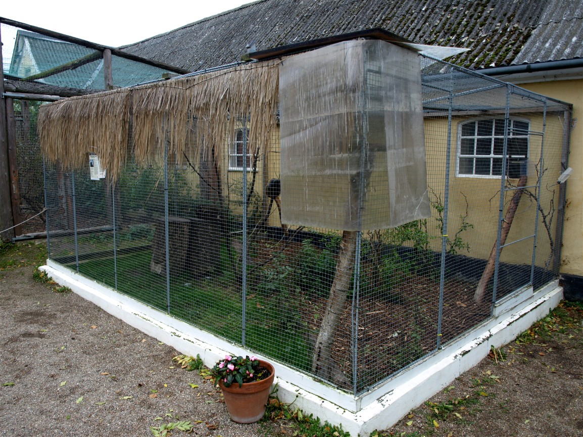 Odsherreds Zoo - Lemur exhibit