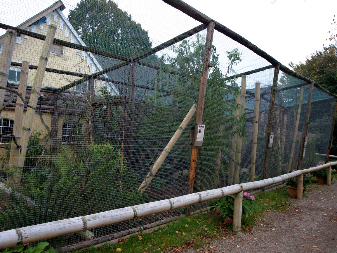 Odsherreds Zoo - Marmoset/tamarin exhibits