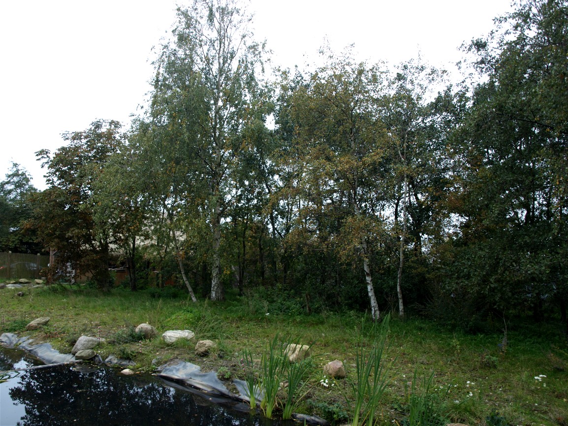 Odsherreds Zoo - Monkey island