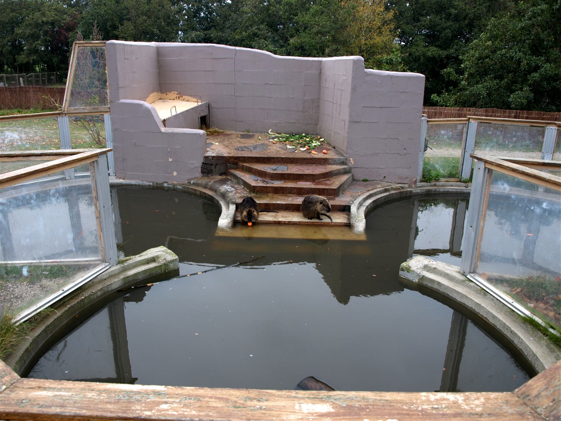 Odsherreds Zoo - Nutria exhibit