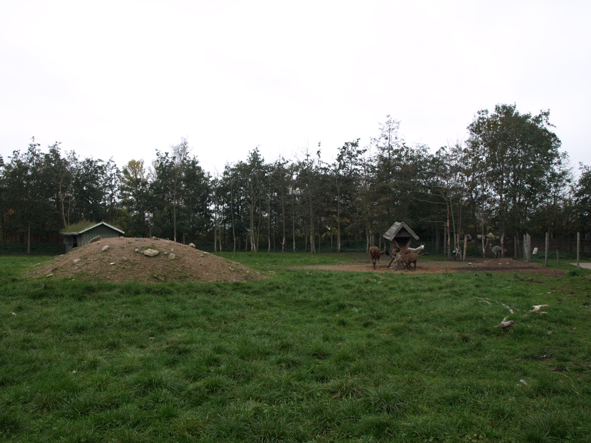 Odsherreds Zoo - Pampas