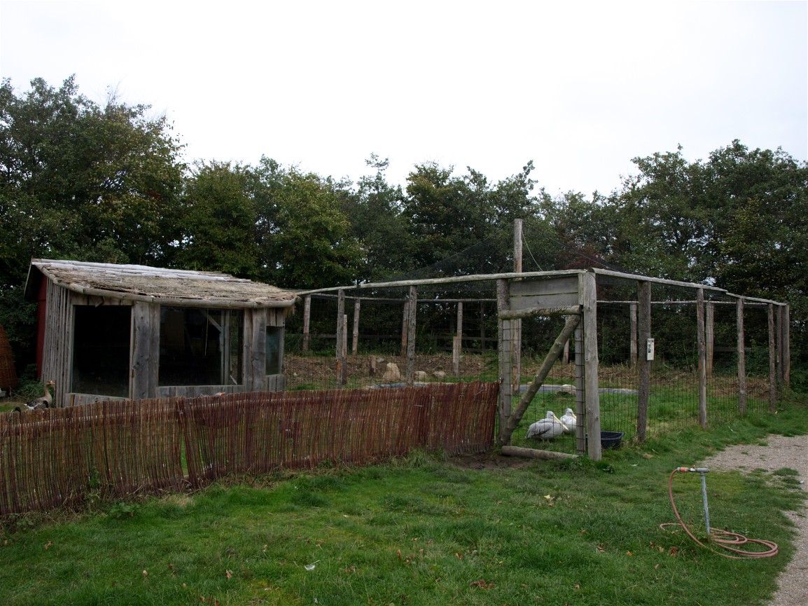Odsherreds Zoo - Pelican aviary