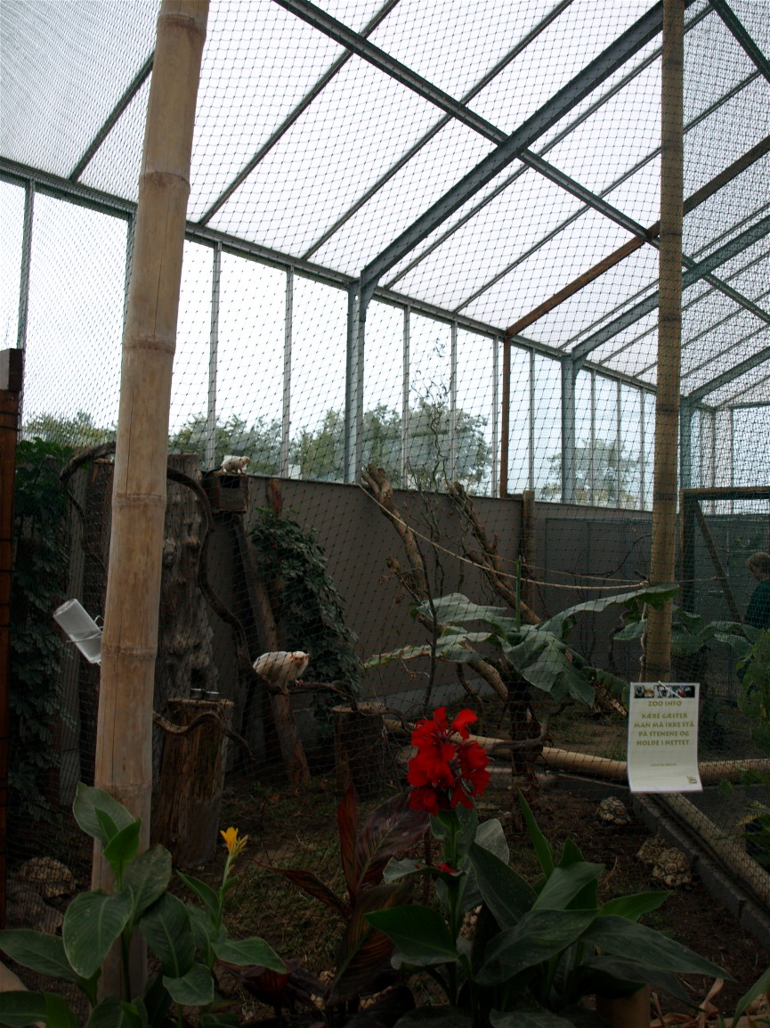 Odsherreds Zoo - Silvery marmoset exhibit