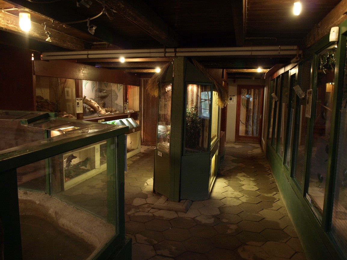 Odsherreds Zoo - Terrarium