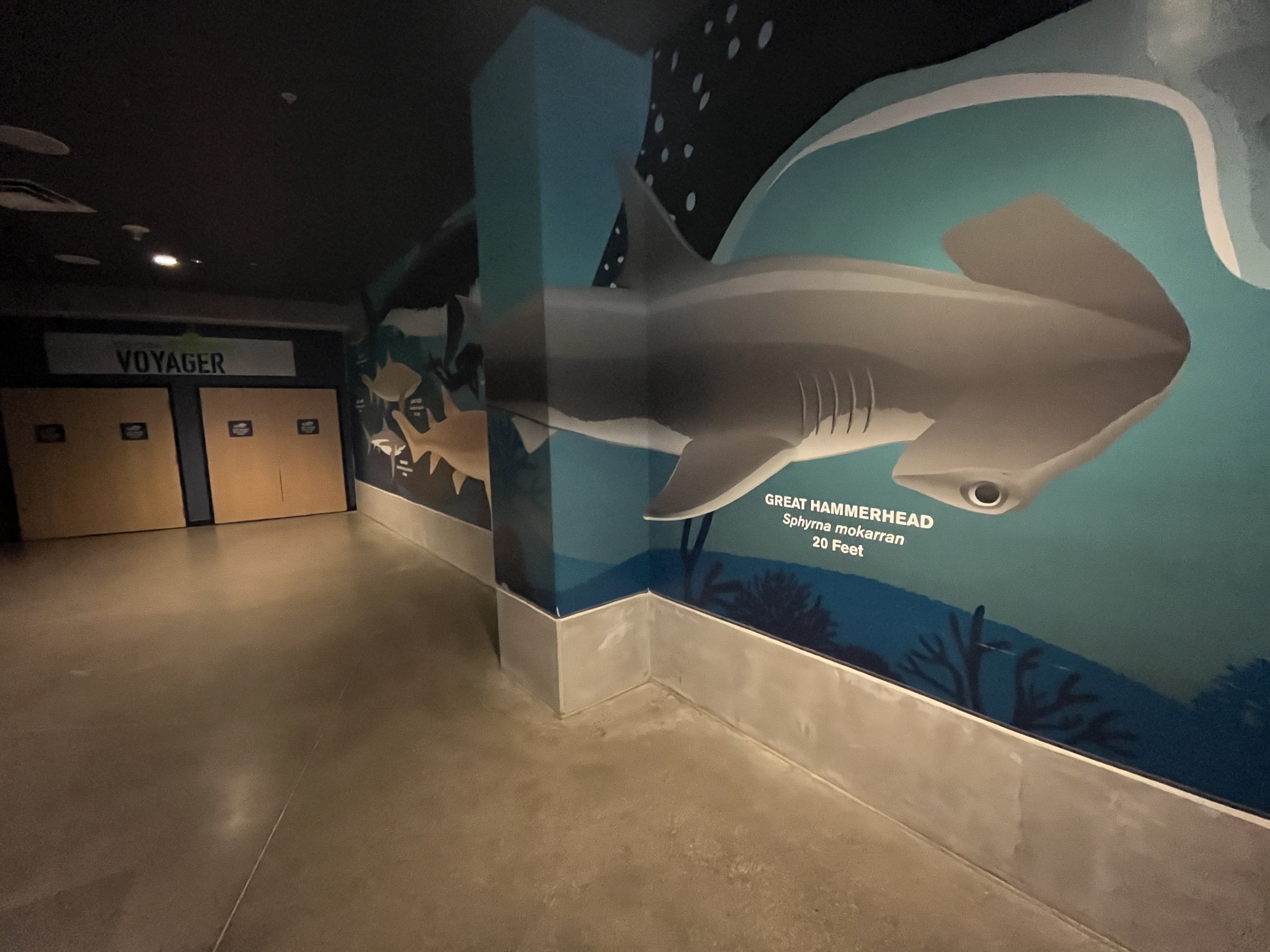 OdySea Voyager - entrance area