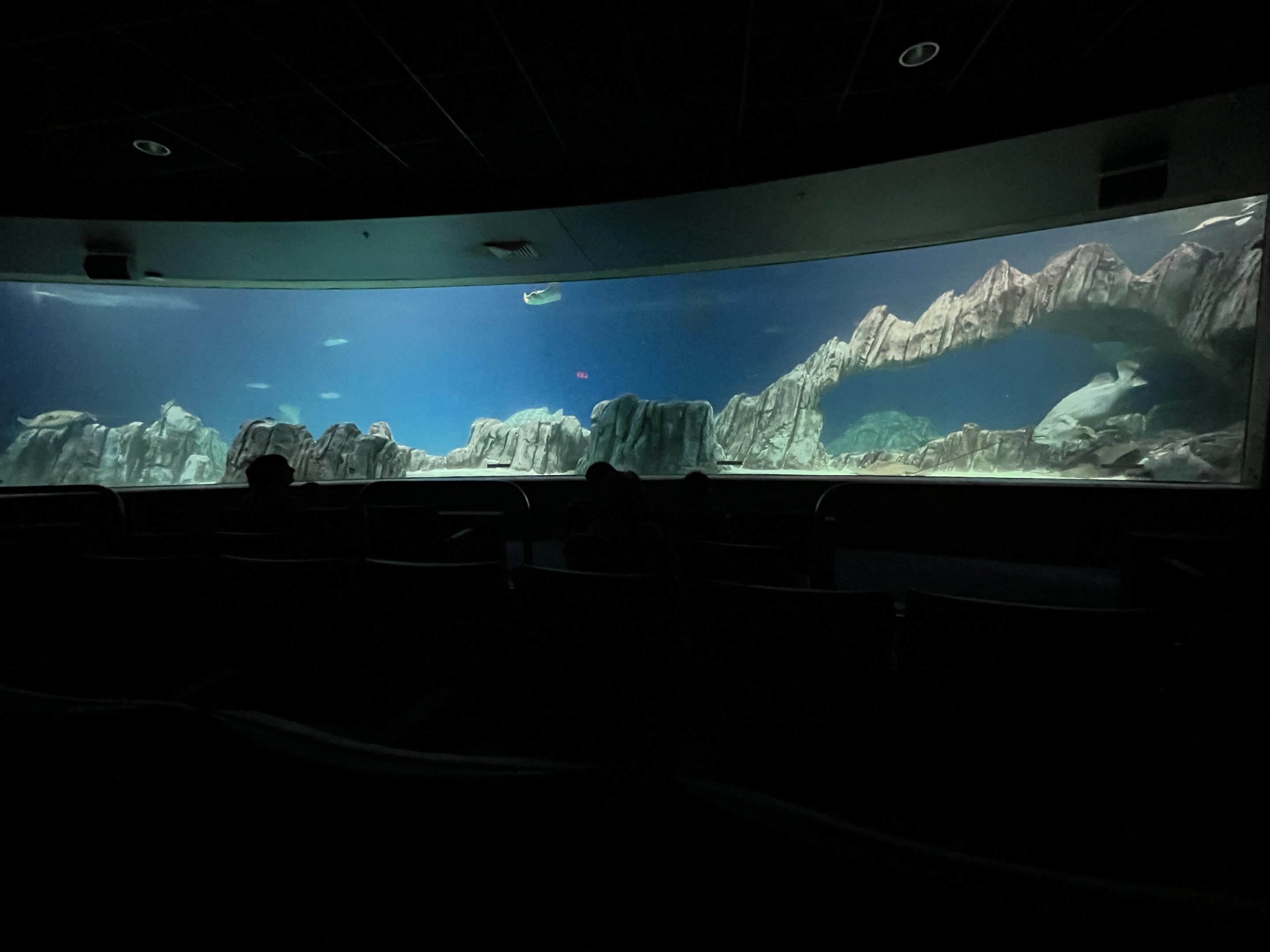 OdySea Voyager - Exhibit #2 of 4