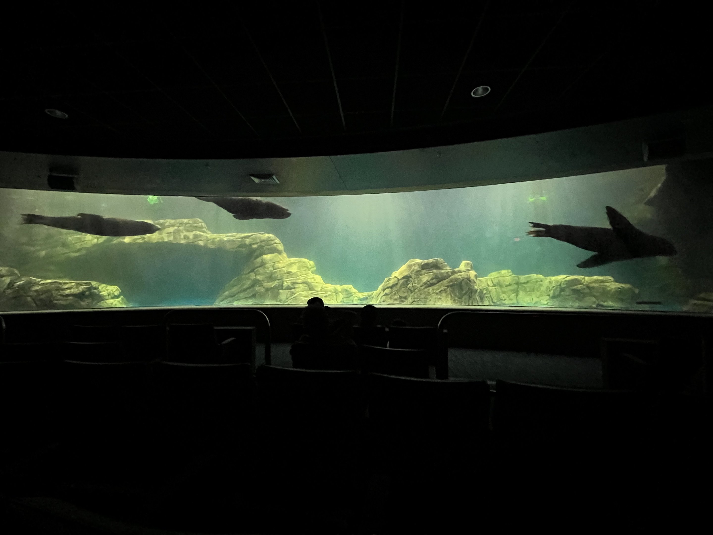 OdySea Voyager - Exhibit #3 of 4