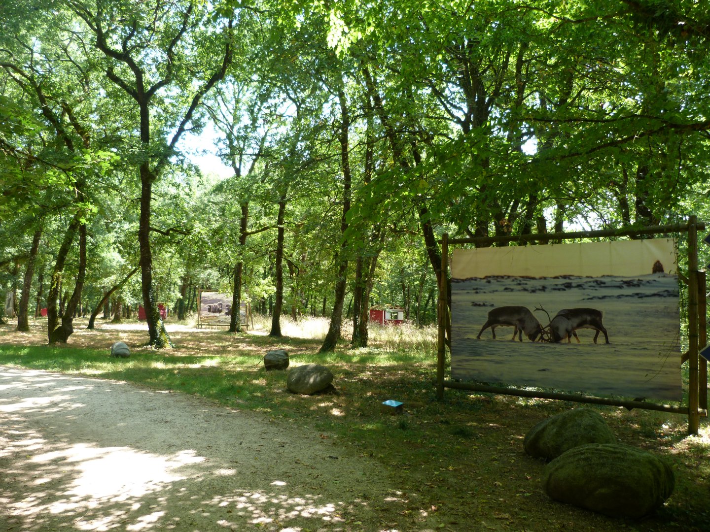 "Odyssée Nordique" view -Zoodyssée (2025)