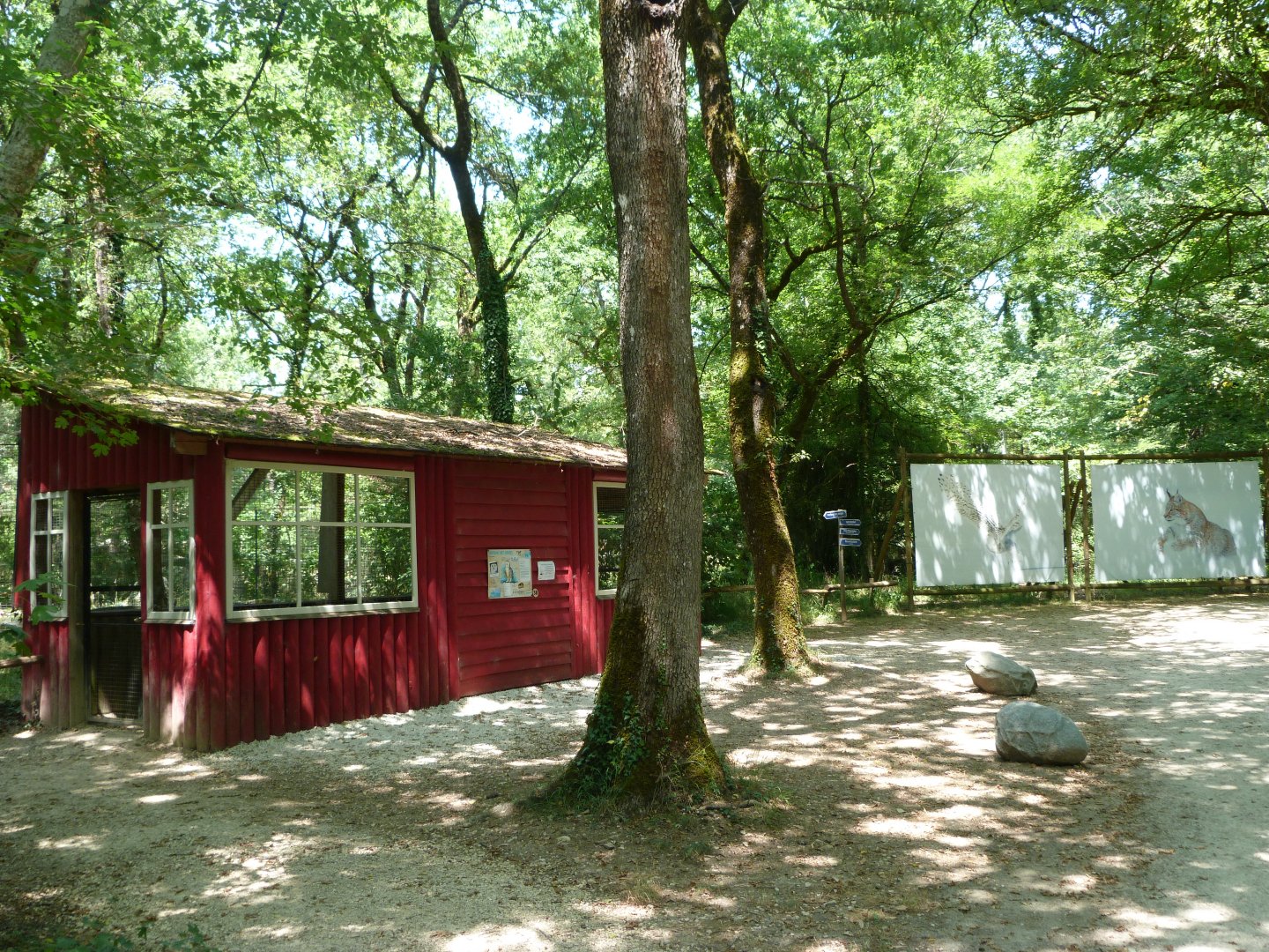 "Odyssée Nordique" view -Zoodyssée (2025)