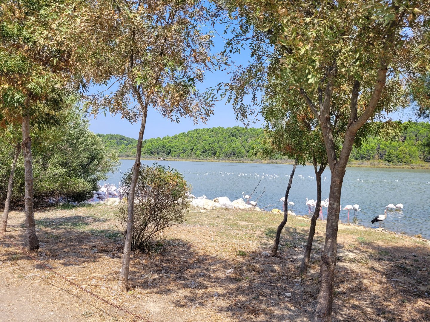 Oeil de Ca view -Réserve Africaine de Sigean (2022)