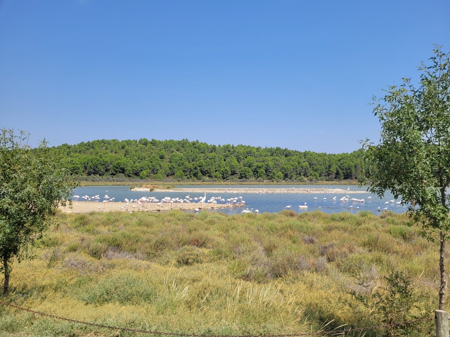 Oeil de Ca view -Réserve Africaine de Sigean (2022)