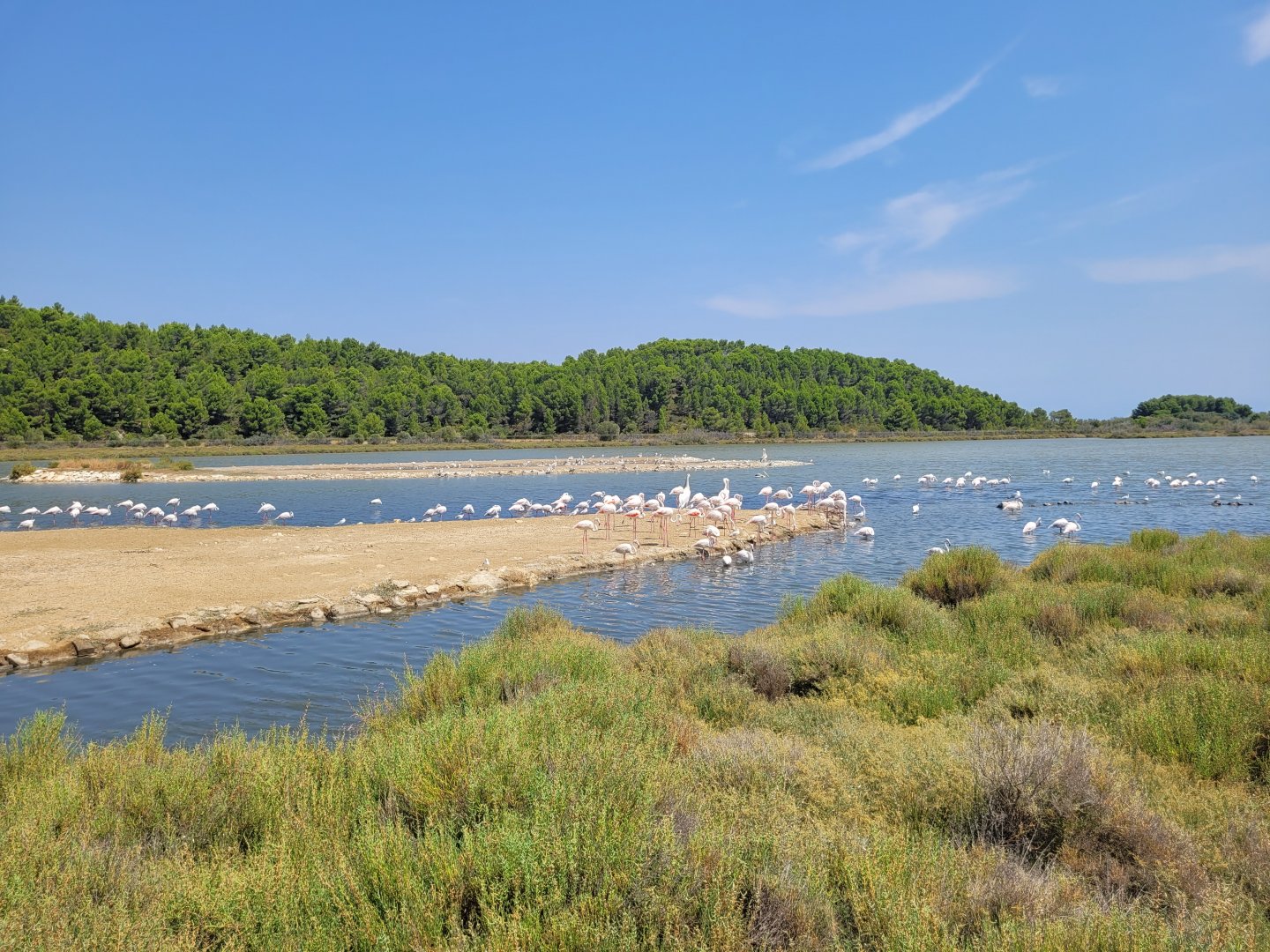 Oeil de Ca view -Réserve Africaine de Sigean (2022)