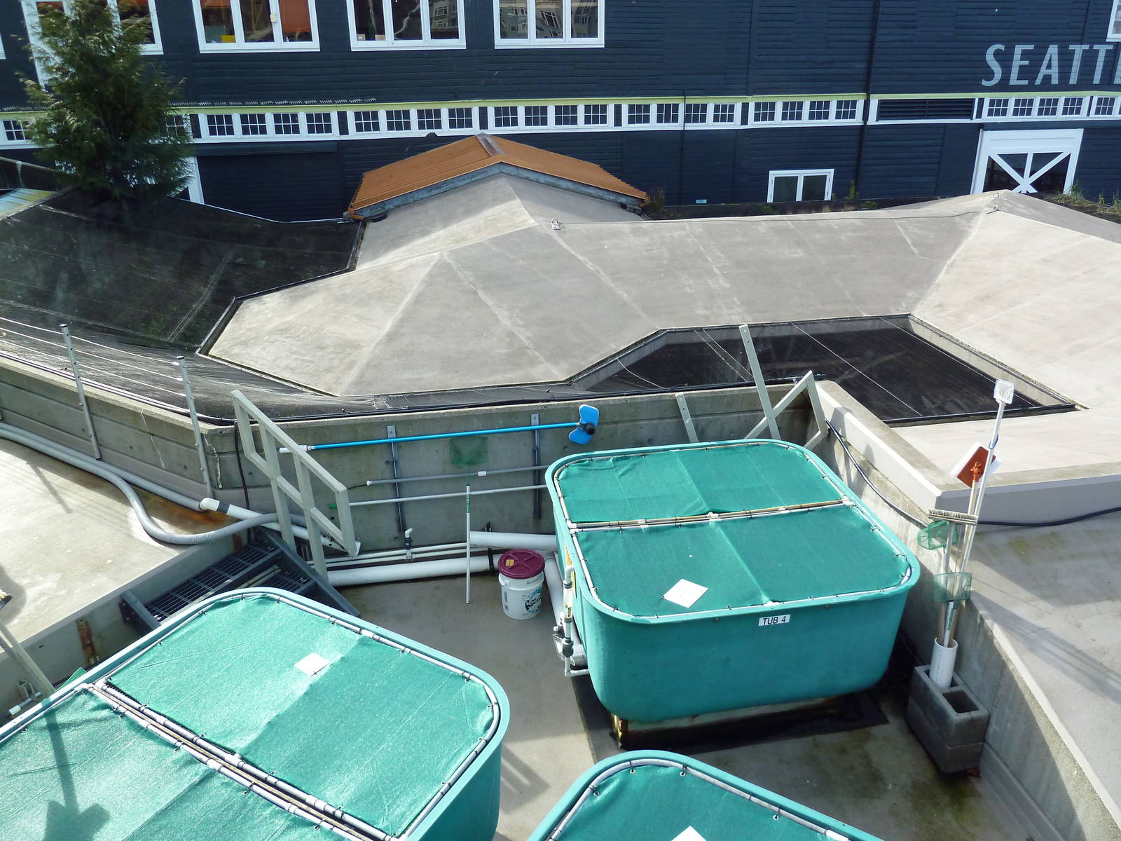 Off-Exhibit Area (Bird Aviaries)