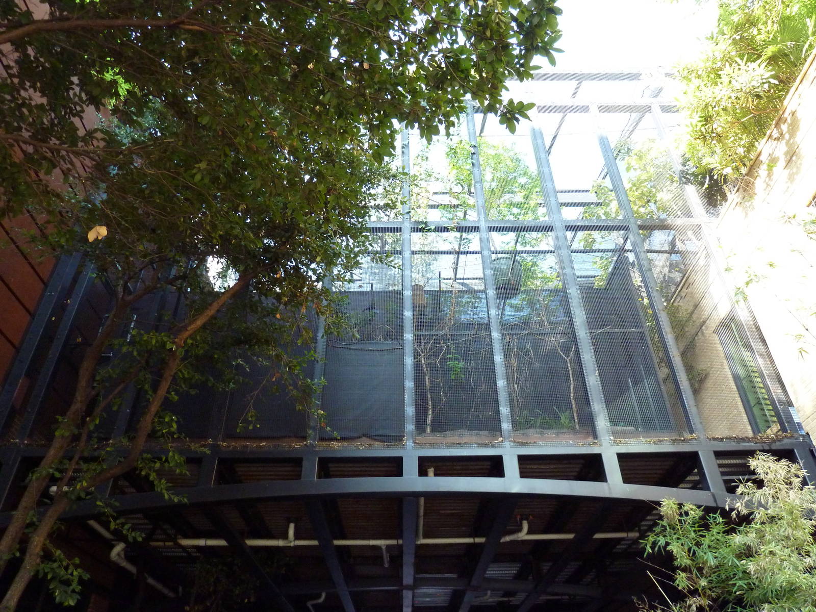 Off-Exhibit Area (Future Jaguar Extension?)