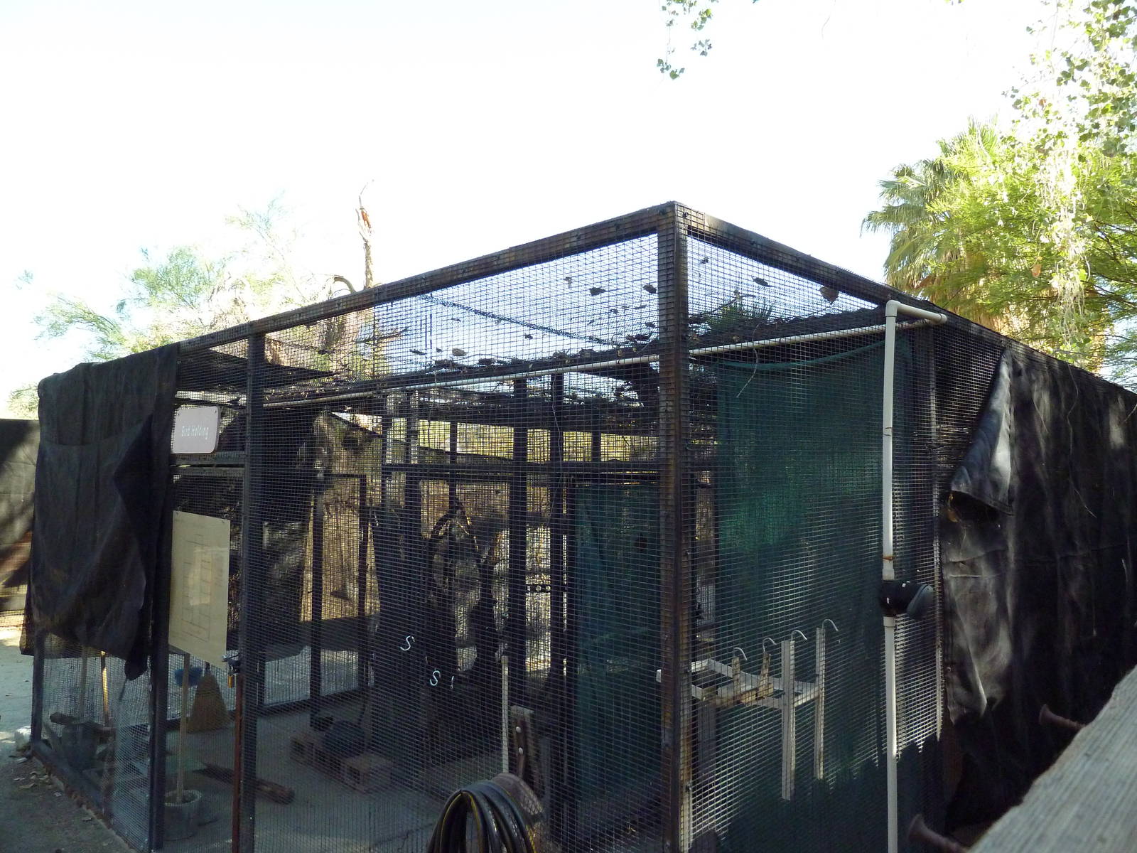 Off-Exhibit Aviaries