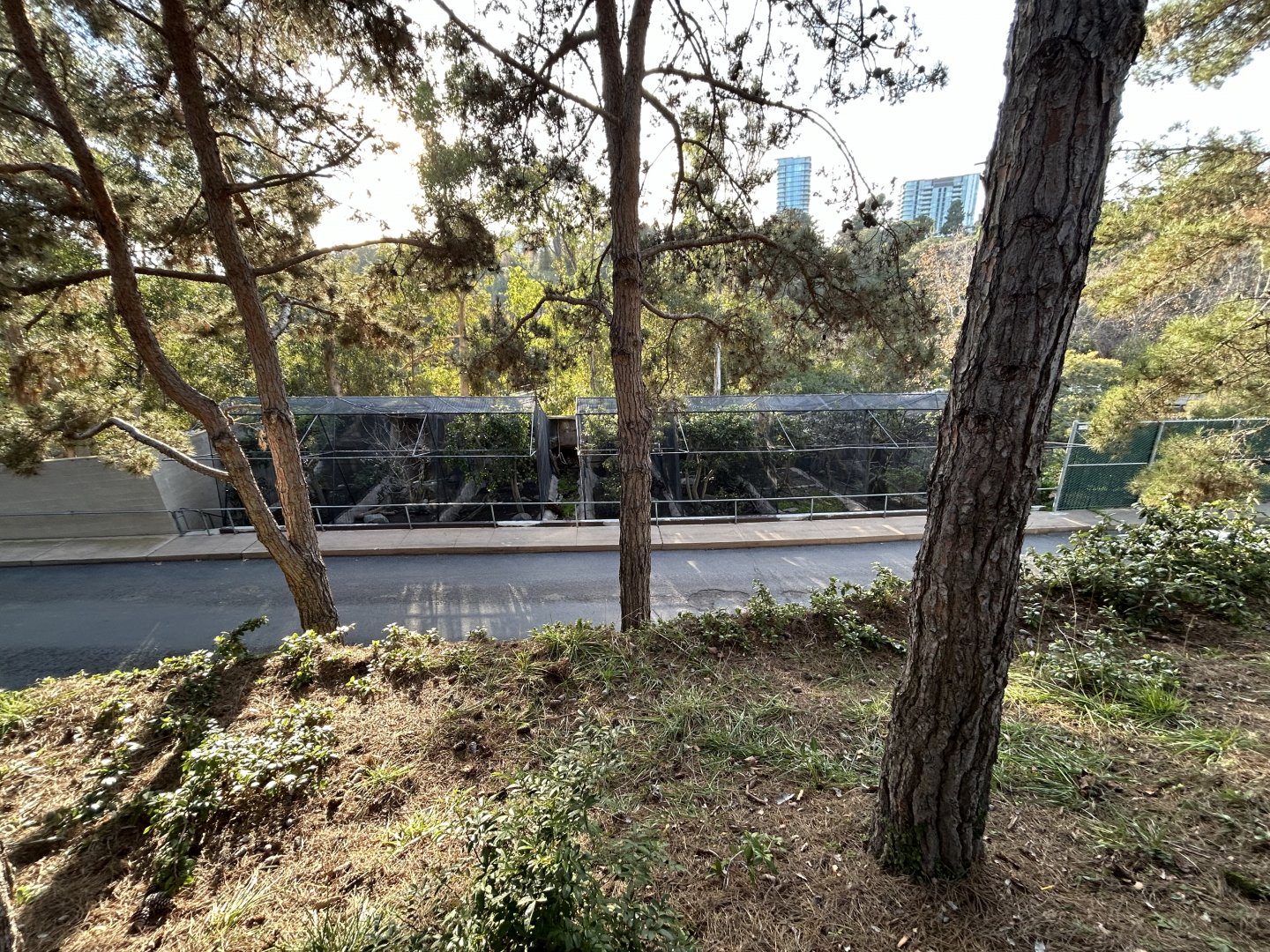 Off-exhibit Aviaries