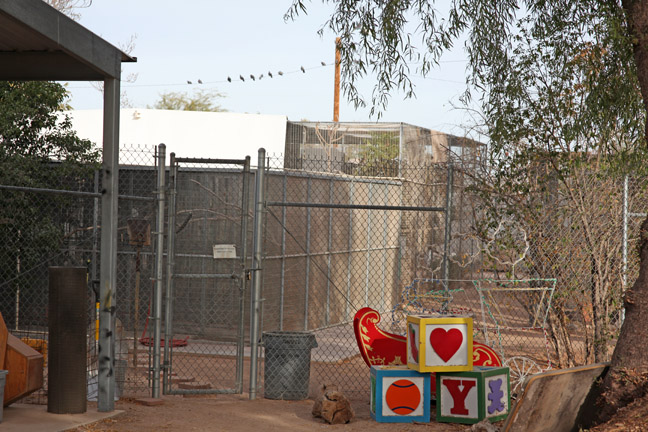 off exhibit bird run