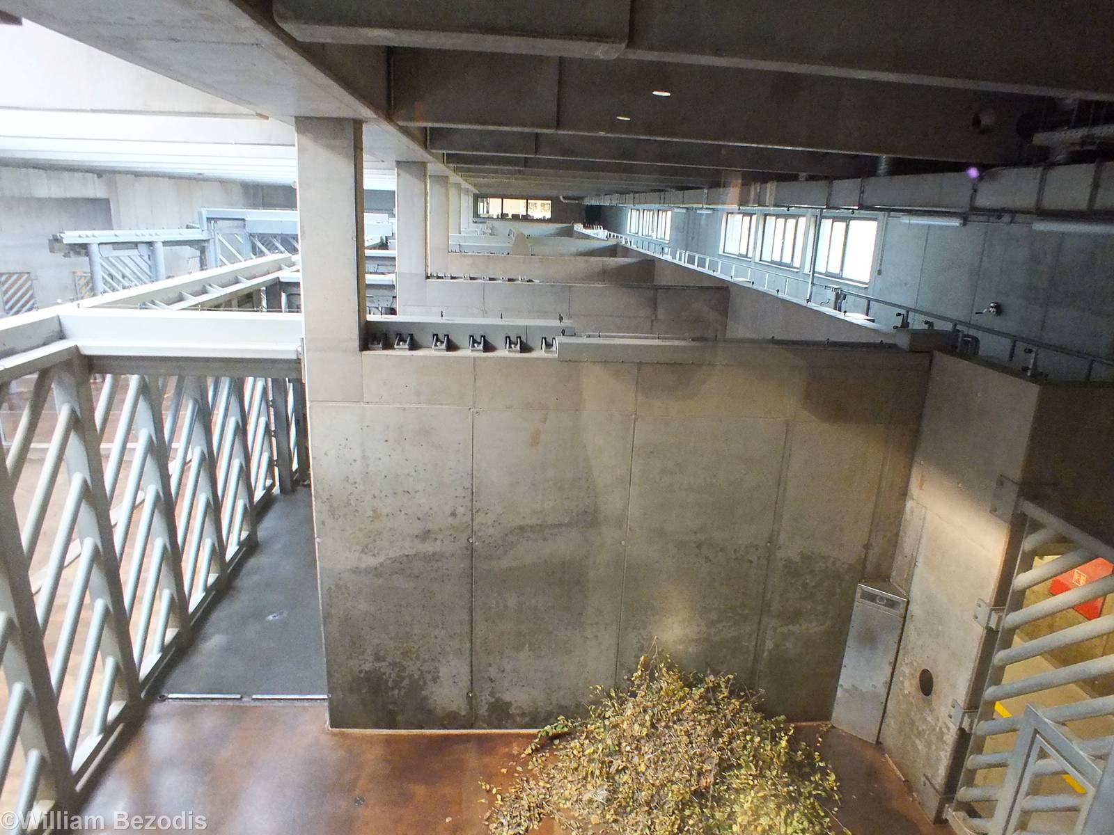 Off Exhibit Elephant Holding