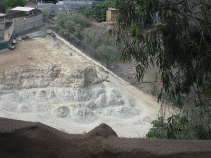 off-exhibit hillside