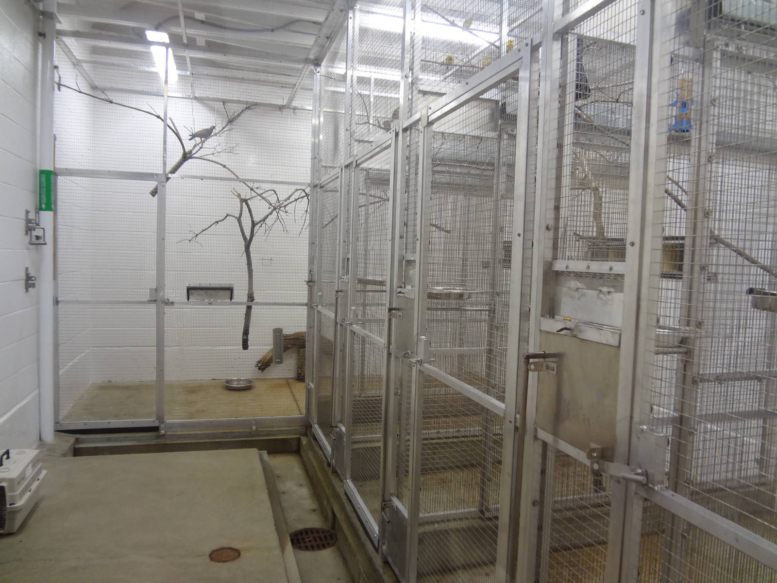 Off-exhibit holding for Elephant Crossing Aviary