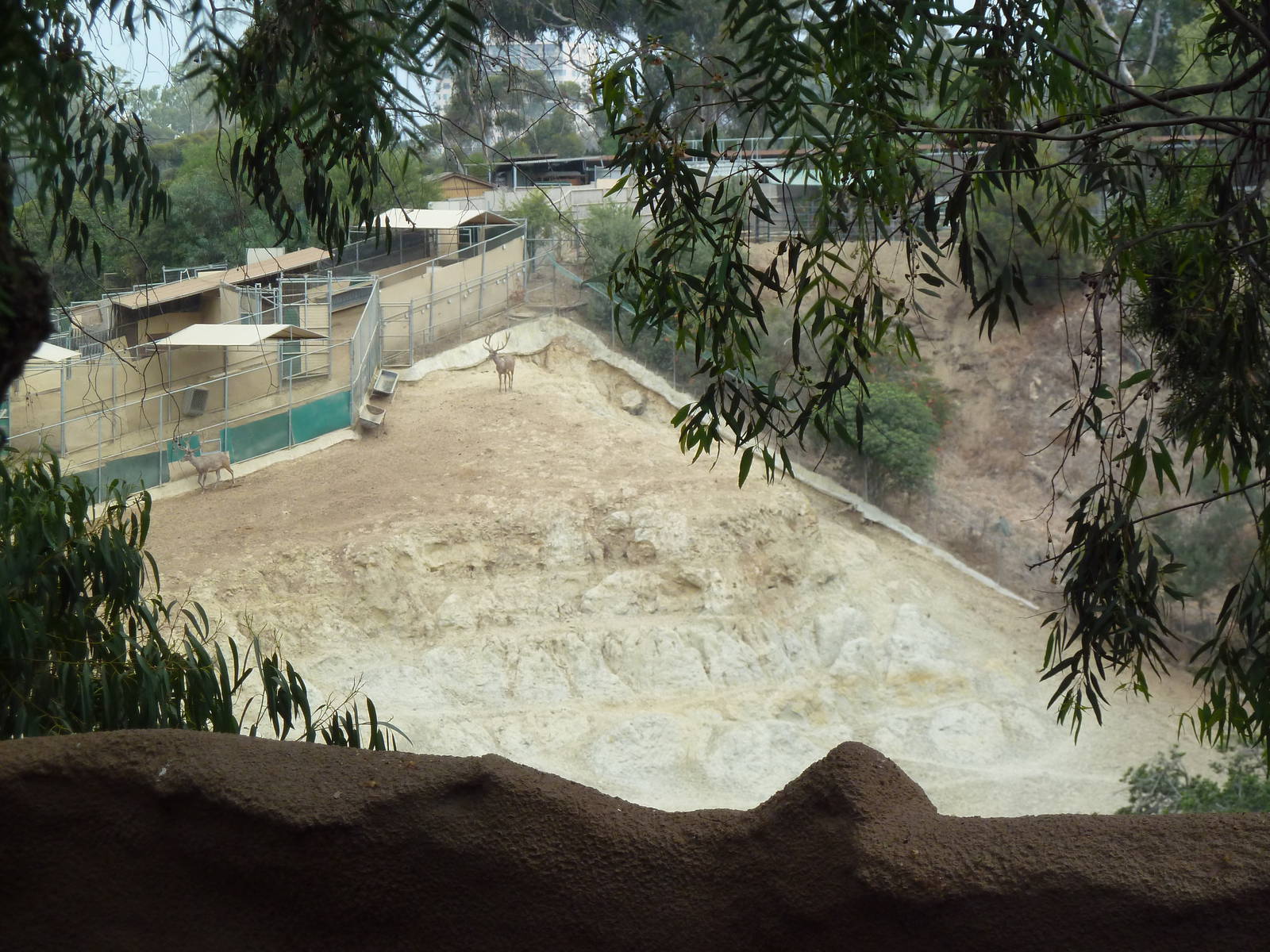 Off-Exhibit Hoofstock Enclosure