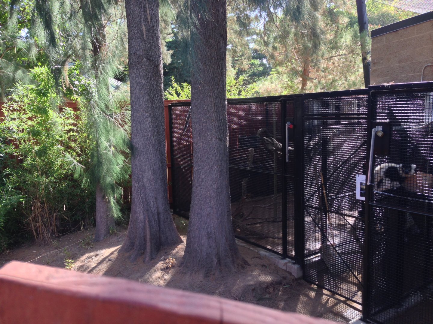 Off Exhibit Lemur Holding Area