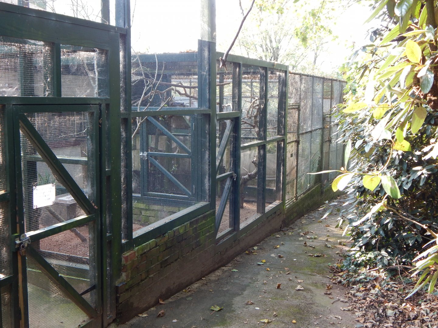 Off show aviaries behind Cottage Aviary 181020