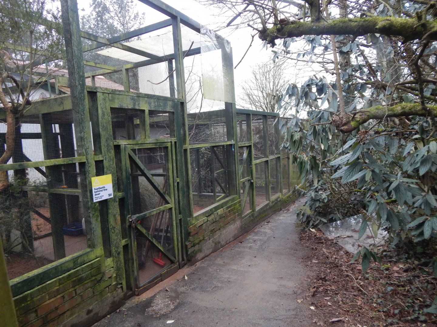 Off-show aviaries next to Cottage Aviary 050224