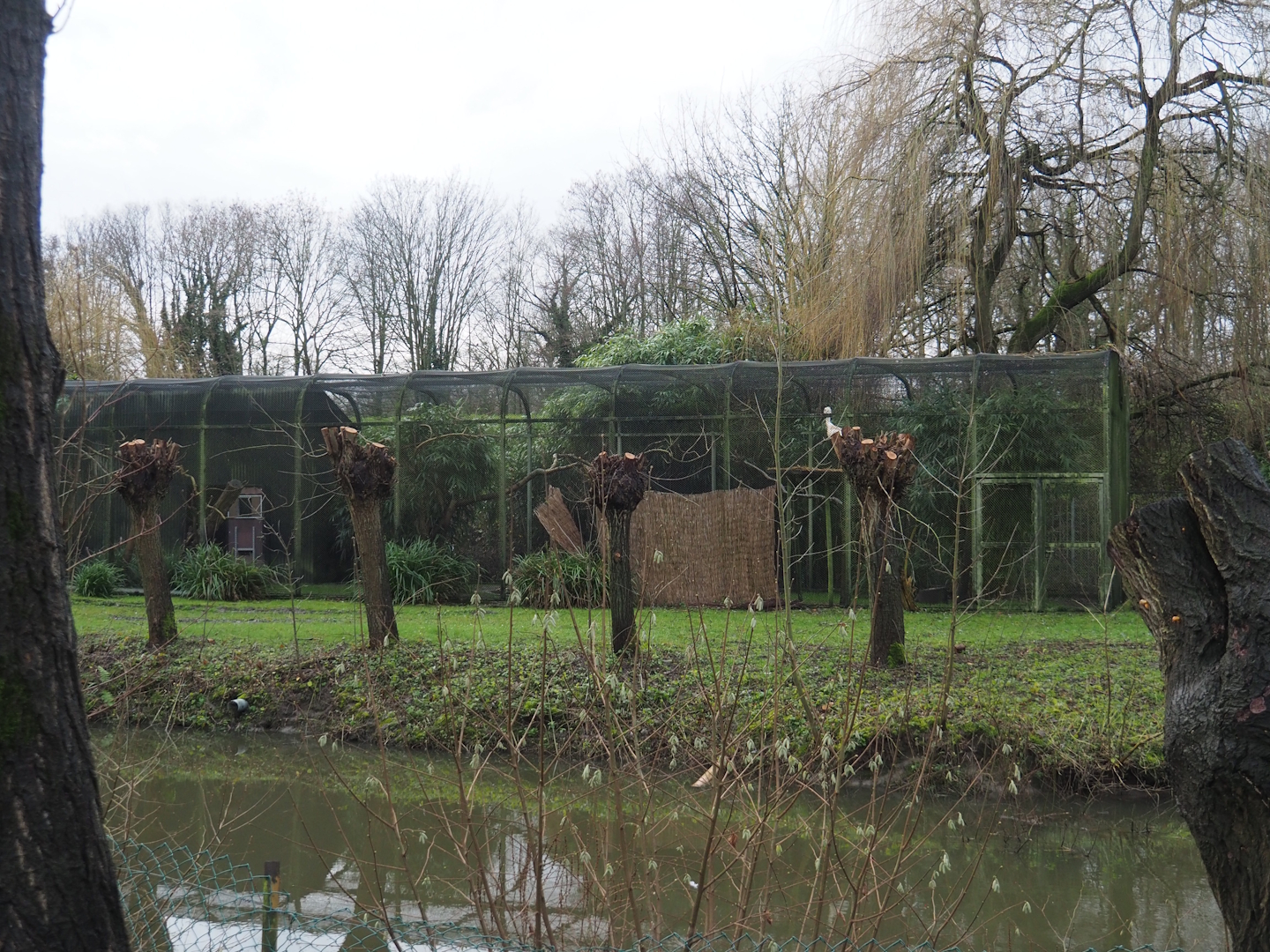 Off-show aviaries seen from the Australian area, 2024-01-01