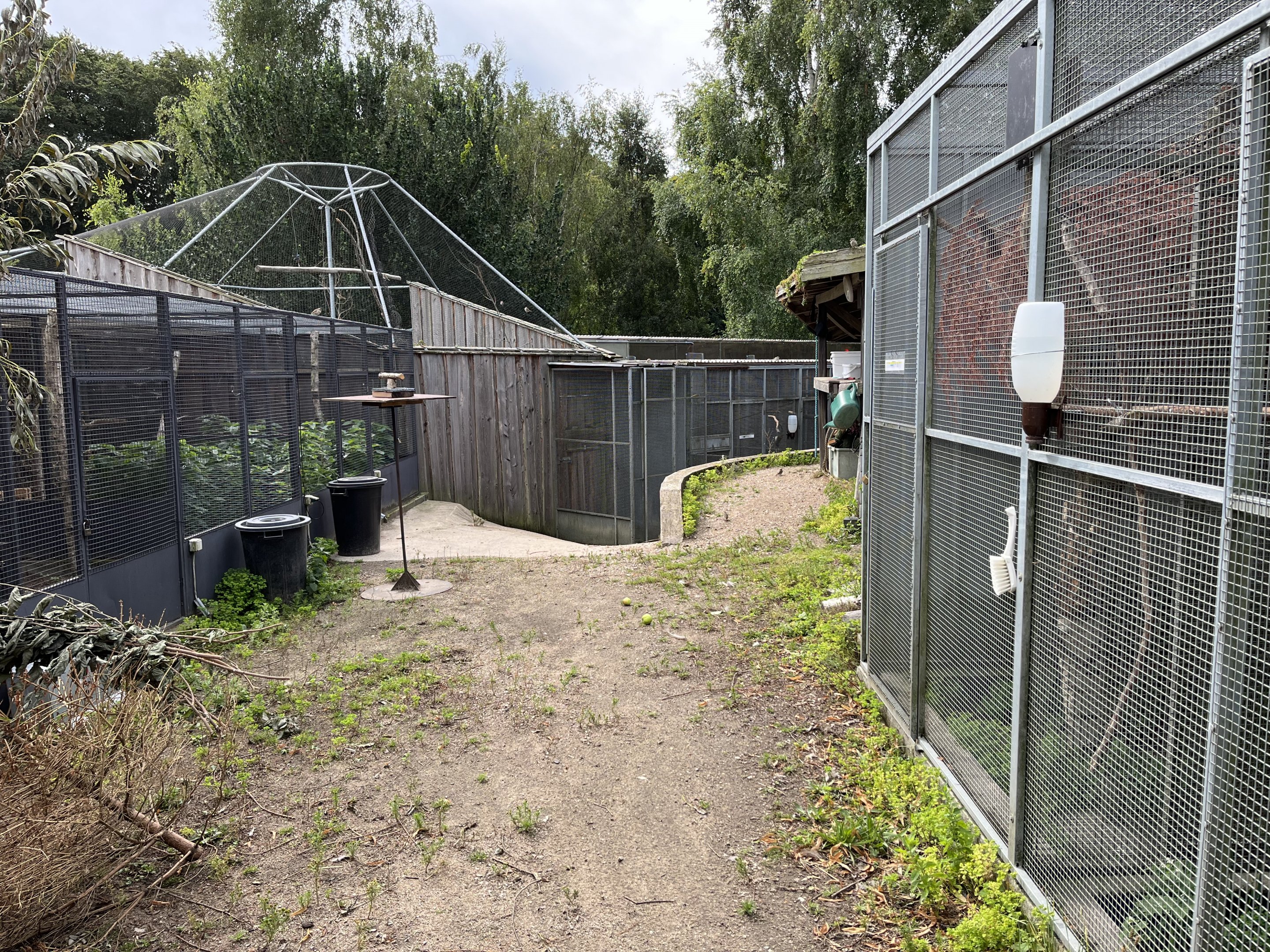 Off-Show Aviaries