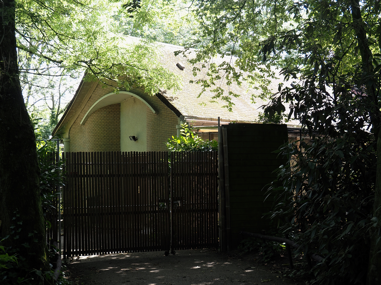 Off-show bird house behind the flamingo and waterfowl aviary, 2024-06-30