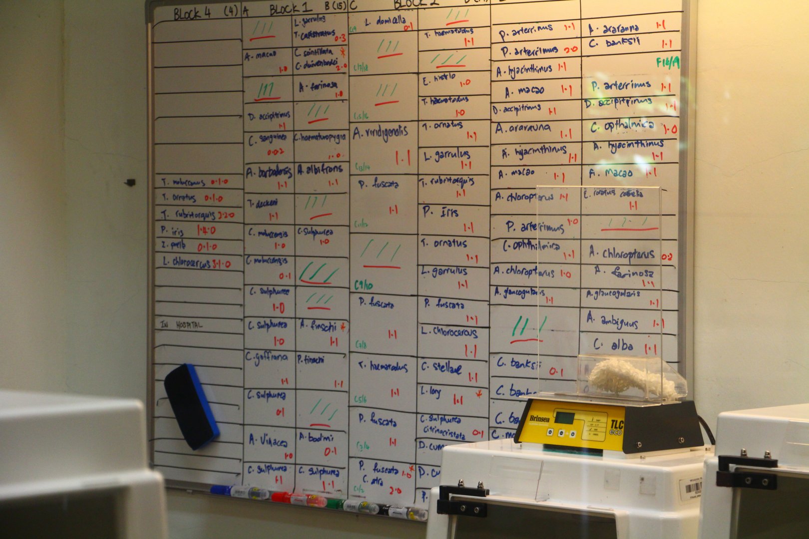 Off show breeding centre residents list