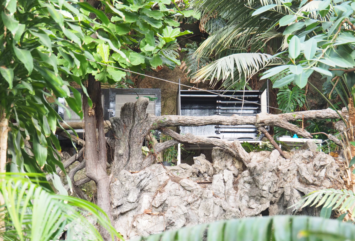 Off-show butterfly equipment on the Winter Garden's balcony, 2022-03-16