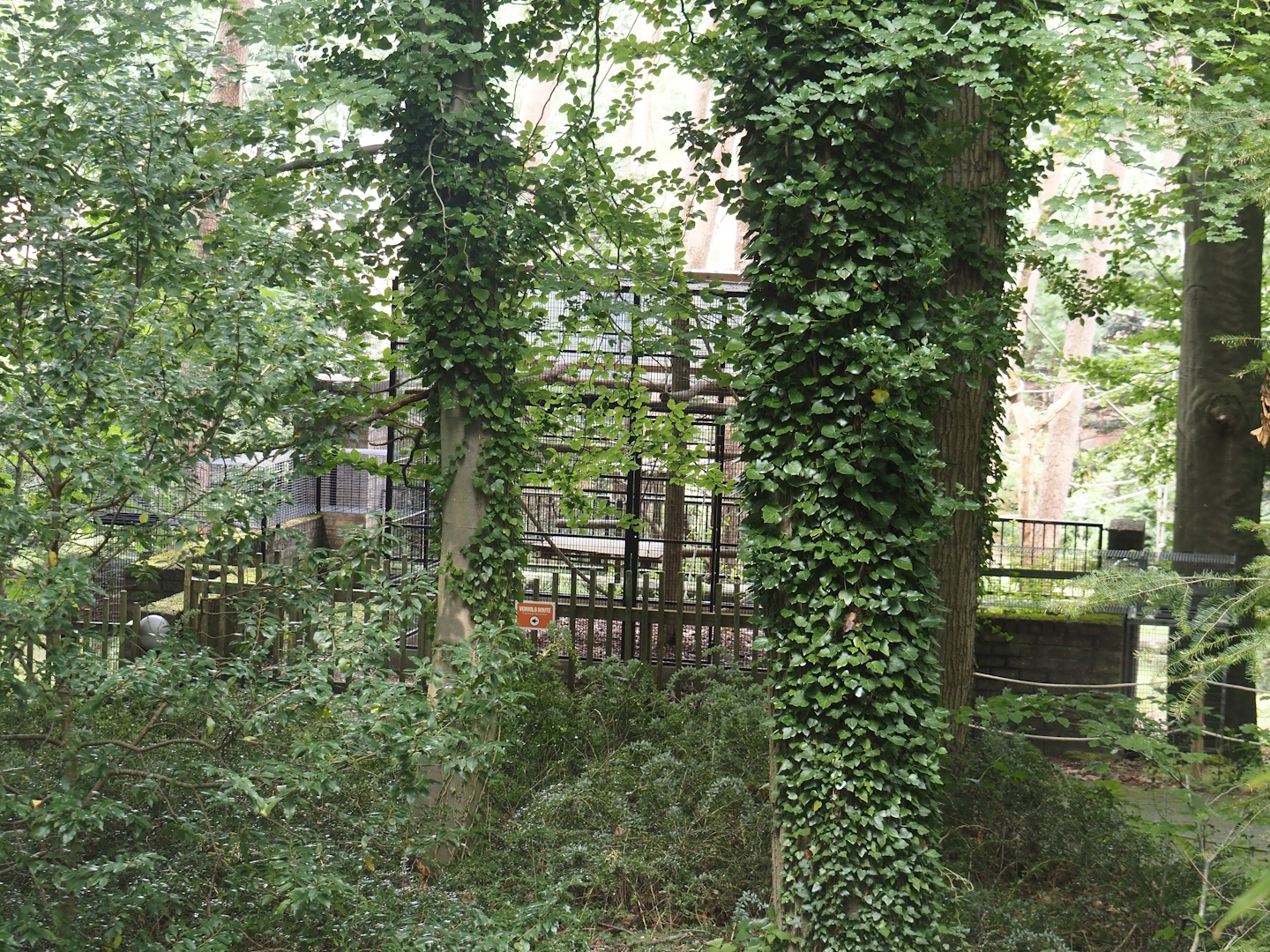 Off-show cage for Colombian black spider monkeys, 2024-08-18