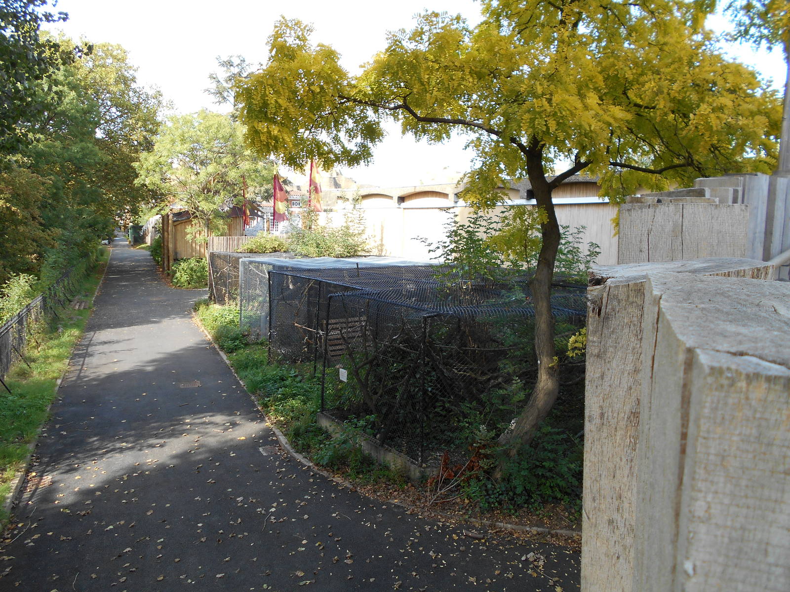 Off-show cages (behind Tiger Territory)