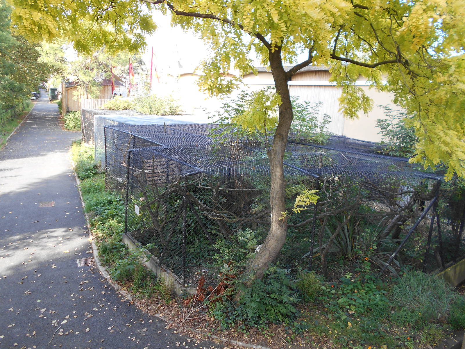 Off-show cages (behind Tiger Territory)