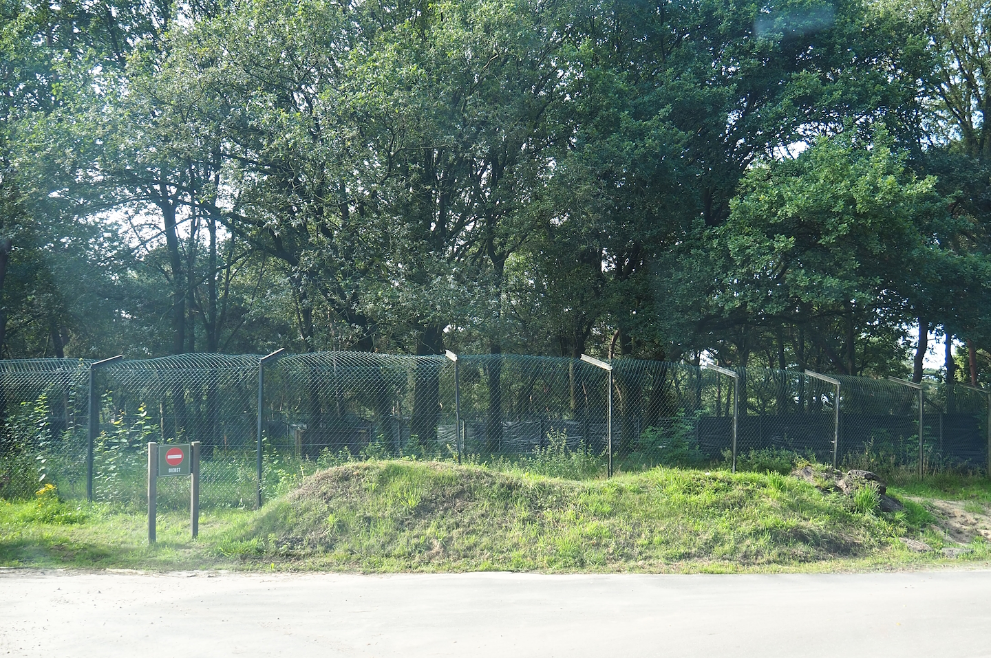 Off-show cheetah paddock, 2023-08-15