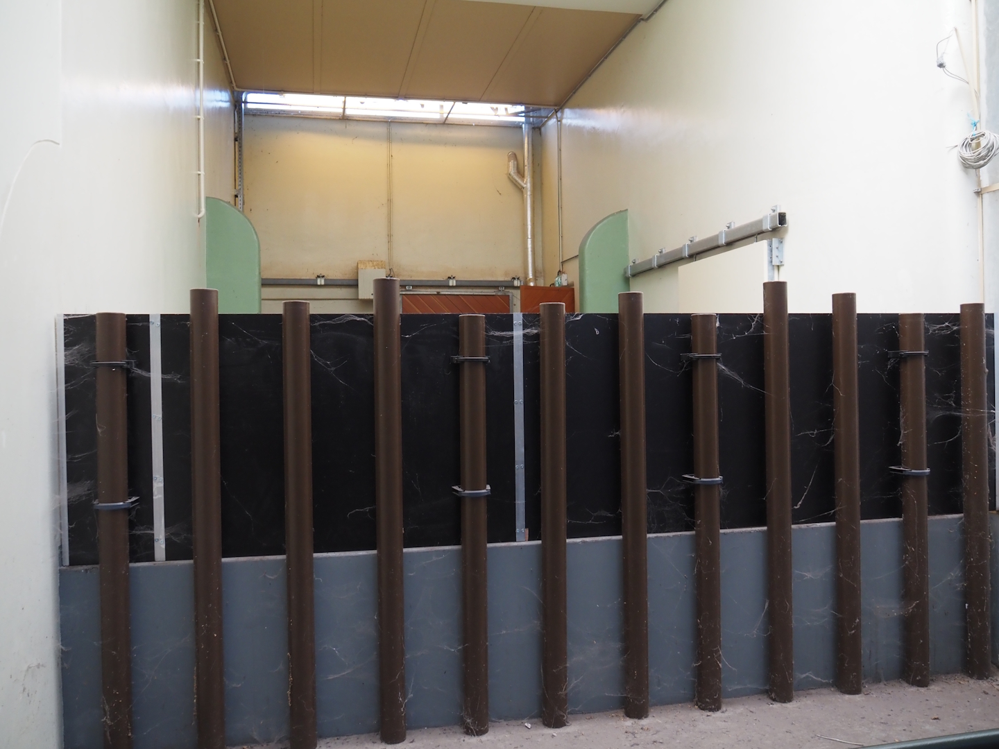 Off-show exhibit for pygmy hippos, 2024-06-30