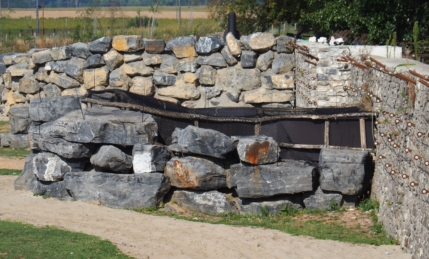 Off-show exhibit next to Asian elephant territory, 2020-09-02