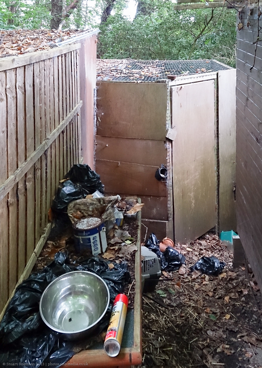 Off-Show Harris Hawk Aviary - 25/08/2013