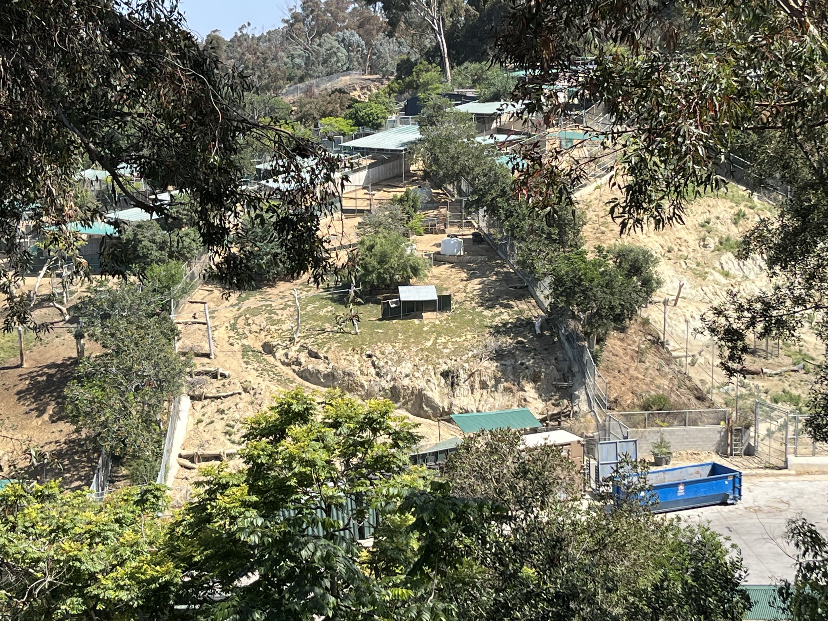 Off-show Hoofstock Yards