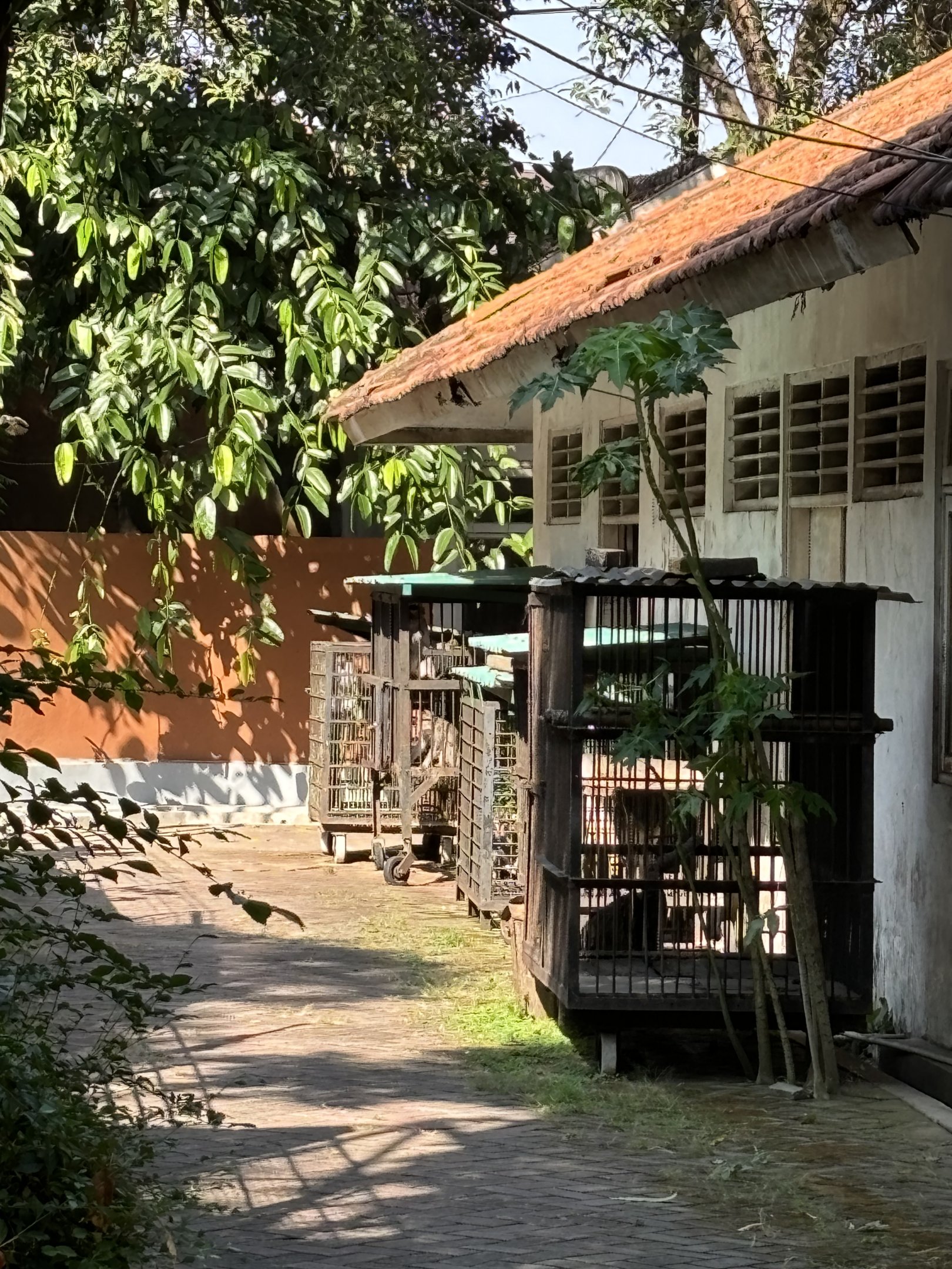 Off-show primate cages