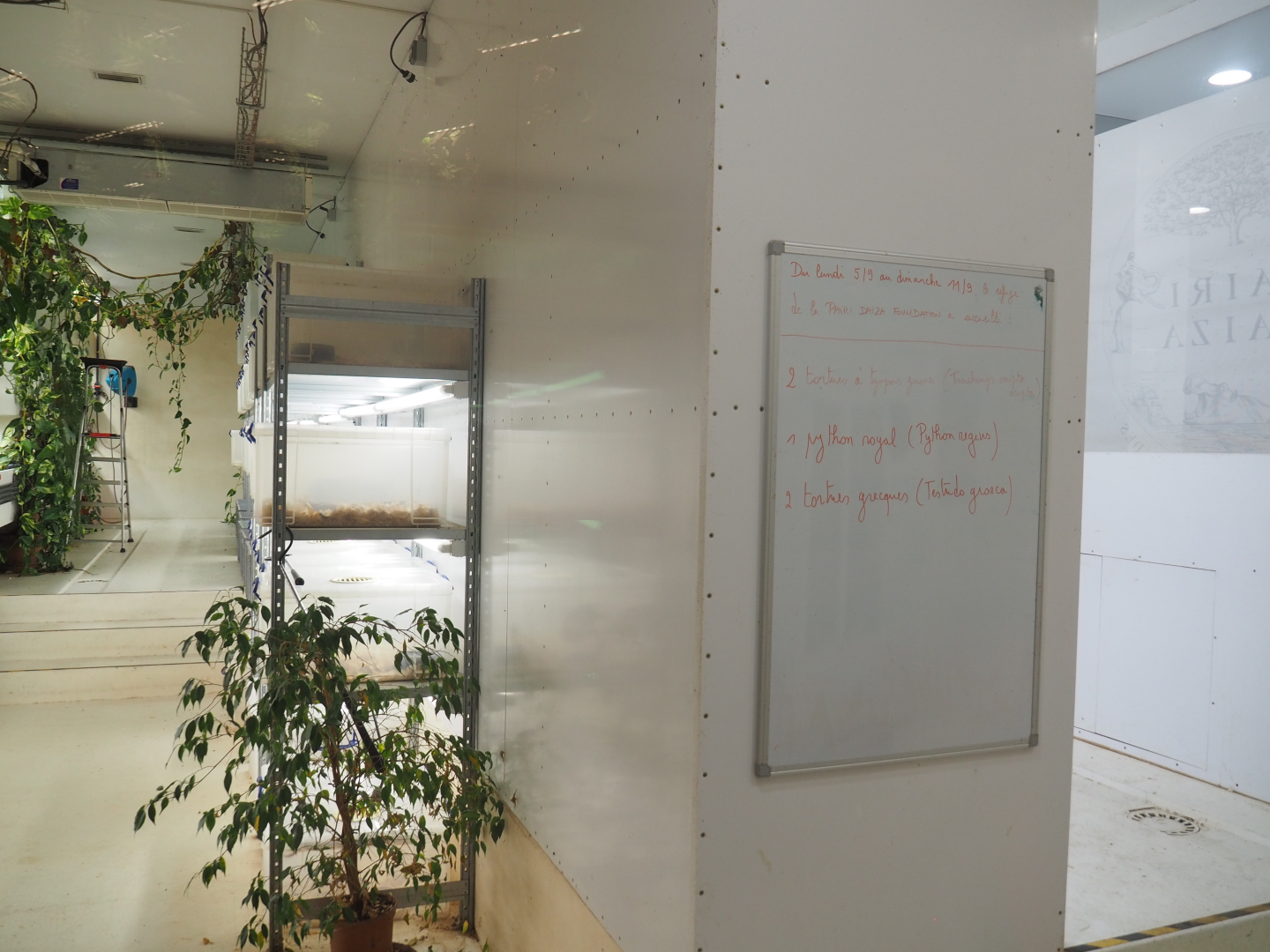 Off-show reptile area, 2022-09-14