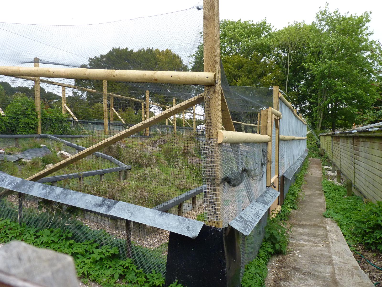 Off-Show Sand Lizard Pens