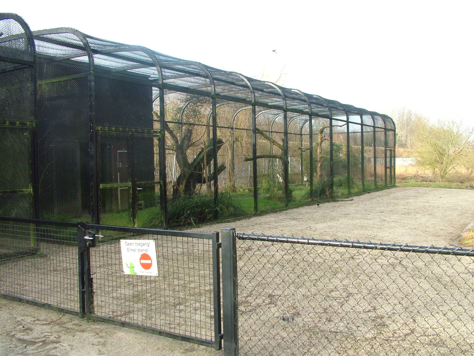 Off-show Secretary Bird aviary at Planckendael Jan 09