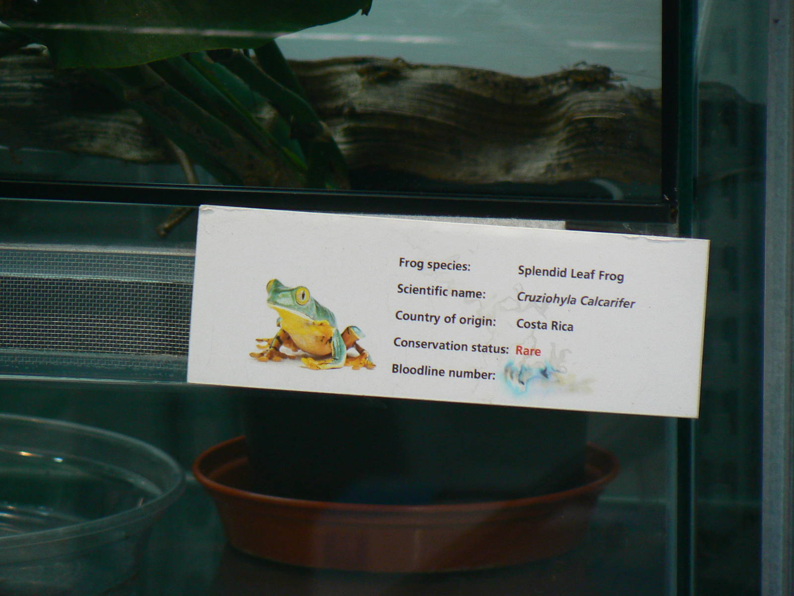 Off-show sign - 17 January 2016