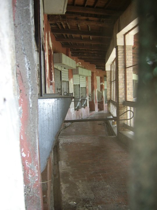 Off-Show Tiger House Zoo di Napoli