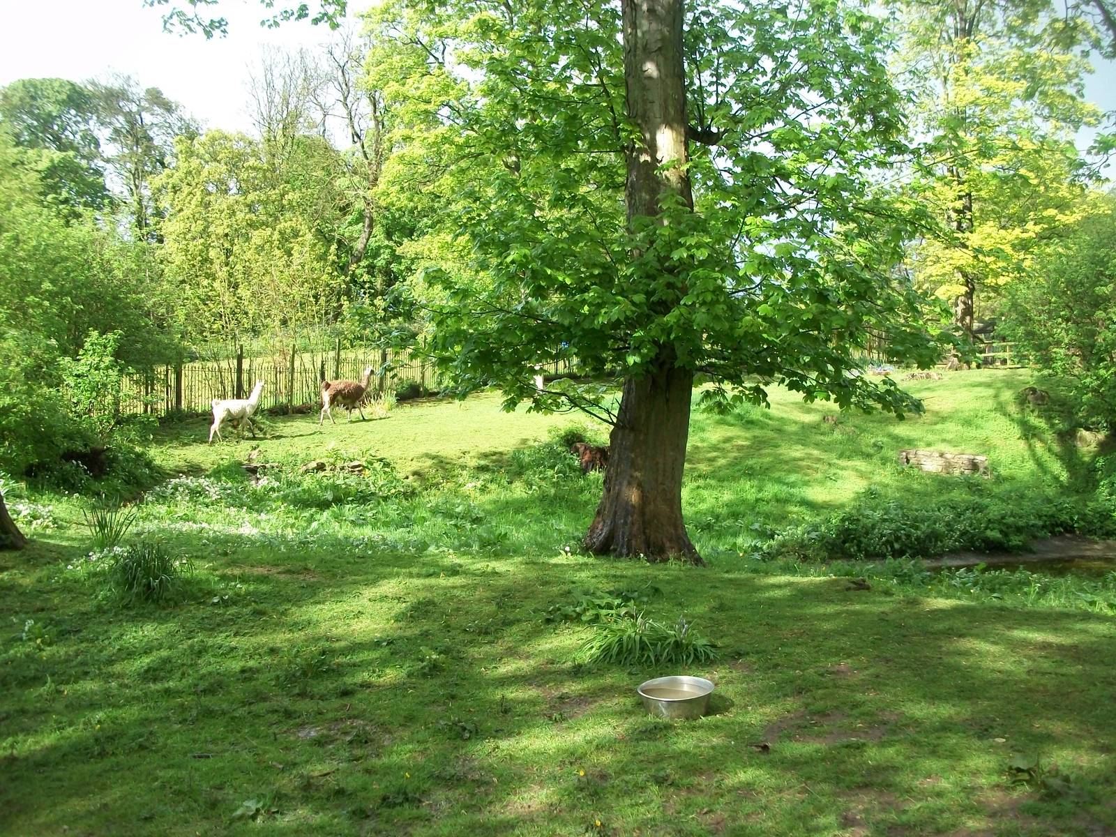 Off they go, 10th May 2014